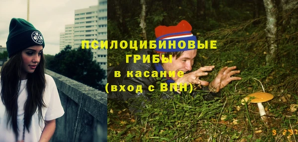 мдма Богородск